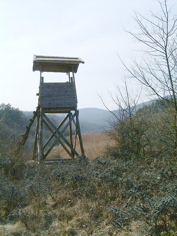 2010.03.20 048.jpg